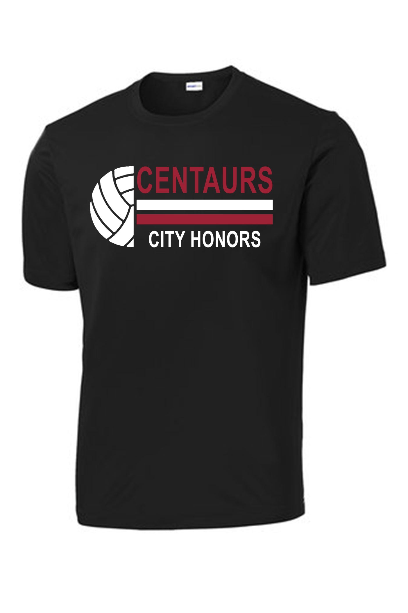 BPS 195 Volleyball 2025 Unisex Performance T-shirt