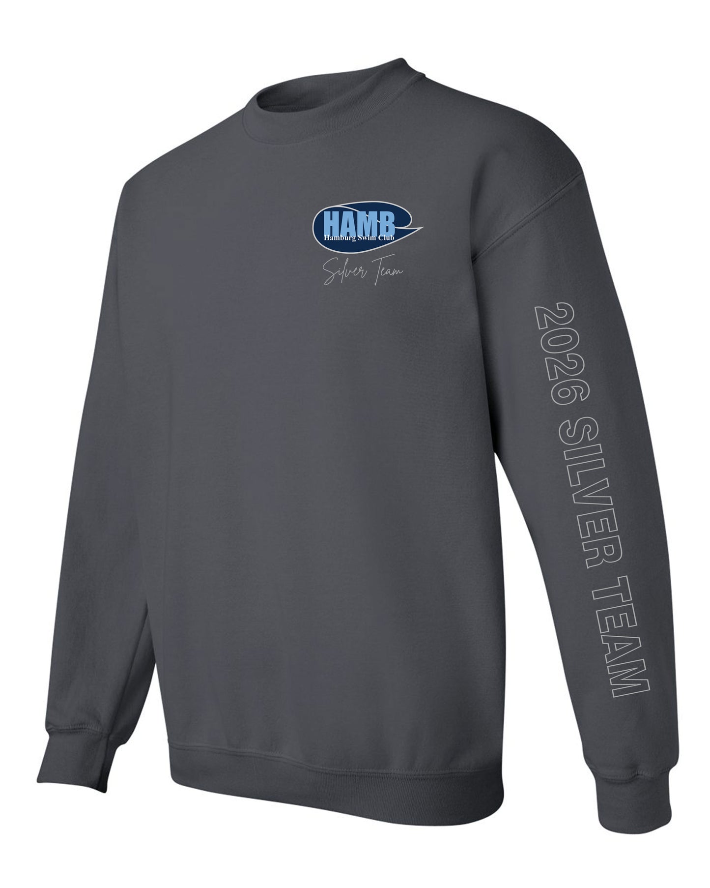 Hamburg Swim Crewneck Sweatshirt - Silver Team