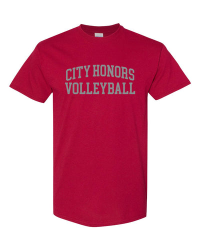 BPS 195 Volleyball Unisex Cotton T-shirt