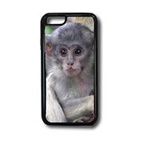 iPhone 6 Brookley Phone Case