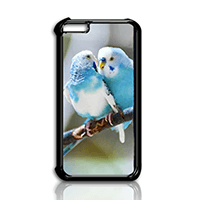 iPhone 6+ Jubilee Phone Case