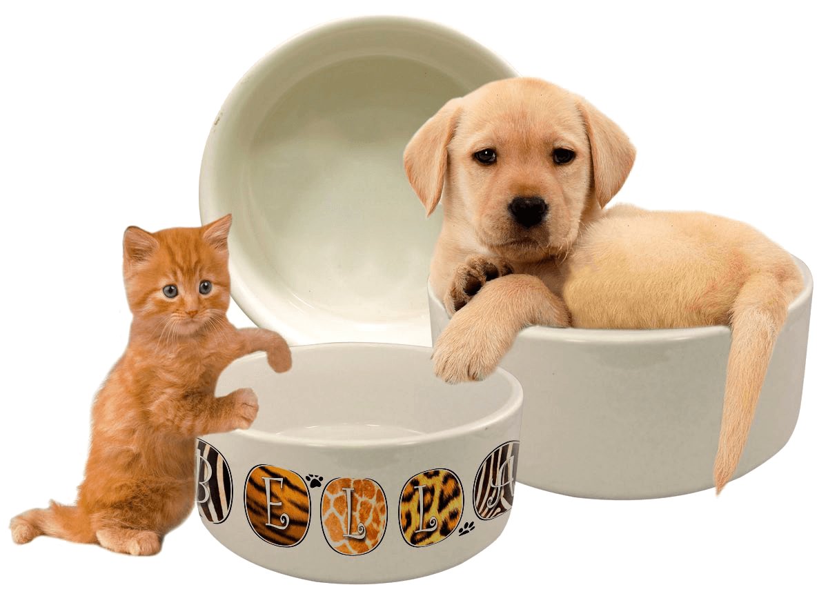 Pet Bowl - Large - Krazy Tees