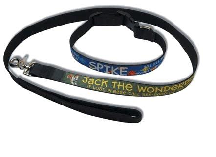 72” Pet Leash - Krazy Tees