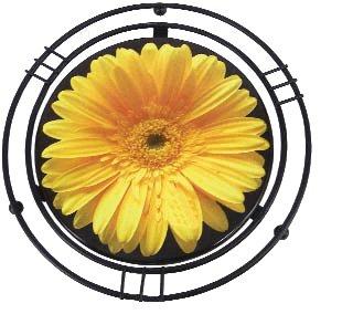 Trivets